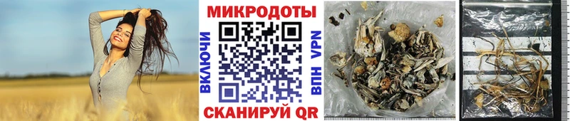 Псилоцибиновые грибы GOLDEN TEACHER  Махачкала 
